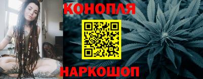 прущие грибы Балаково