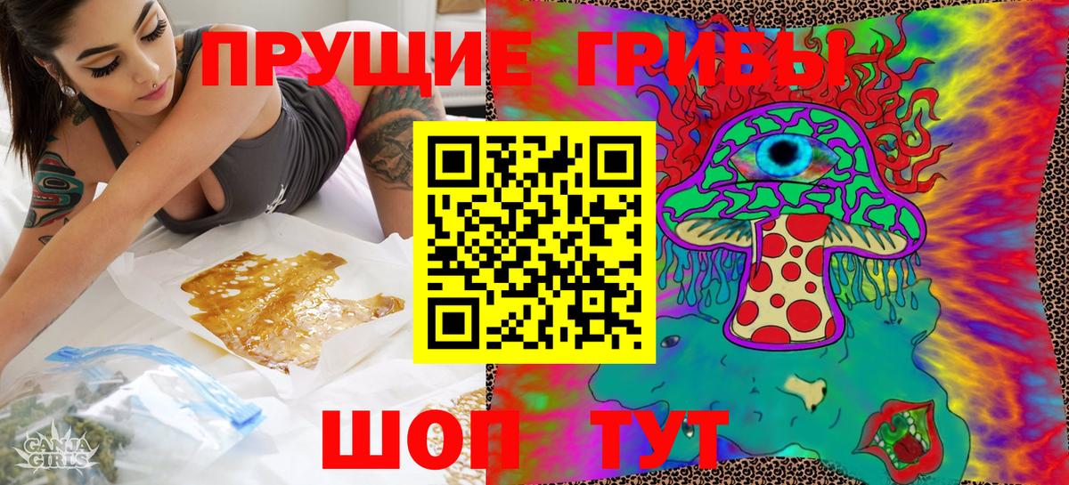 Галлюциногенные грибы Psilocybine cubensis Гай